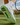 Wilson Shoes