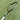 Used Wilson Blade v8 Pro 16/19 L3 Tennis Racket