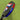 Tecnifibre Wall master 365 Padel Racket Ex Demo