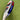 Tecnifibre Wall master 370 Padel Racket Ex Demo