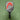 Ex Demo Head Radical Pro Pickleball paddle