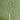 Ex DEMO Tecnifibre TF 40 315Gram Tennis Racket L3