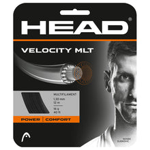  Velocity MLT