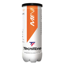  Tecnifibre Mini Orange Ball Tube